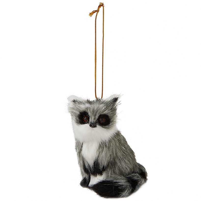 Furry_Woodland_Animals_Raccoon_2081837_zm_4afea941-55be-4ce3-839e-5633129ee9ca