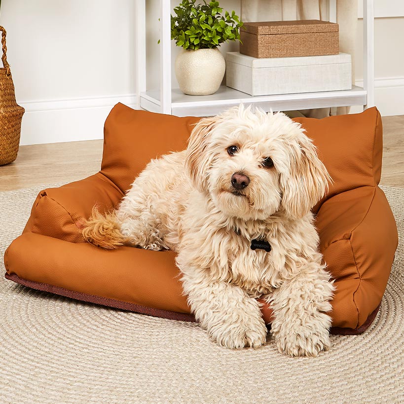 Small_Pet_Sofa_Small_Pet_Sofa_2140350_zm1_ee893ded-54bb-4414-a25d-934ccb7e6b12